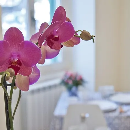 Couette-café Gloria'S House In Rome 2*