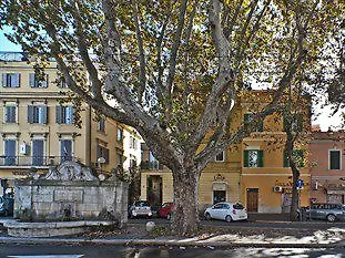 Gloria'S House In Rome Roma